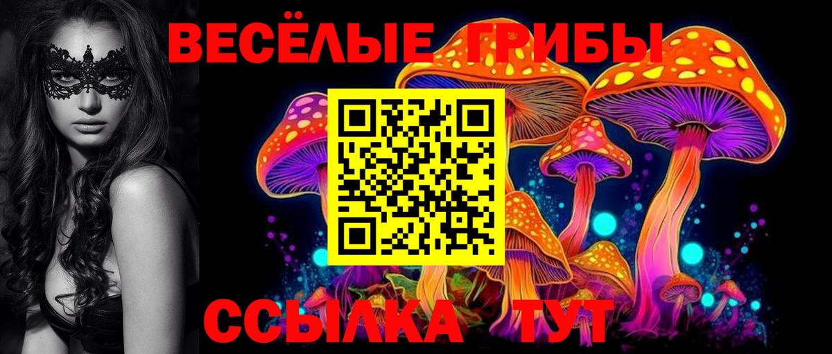 Галлюциногенные грибы мицелий  Вход с VPN  Жуковский  Псилоцибиновые грибы MAGIC MUSHROOMS 