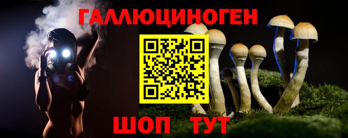 Галлюциногенные грибы Cubensis Жуковский